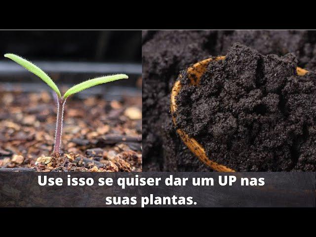 Como fazer adubo liquido com borra de café, PASSO a PASSO.