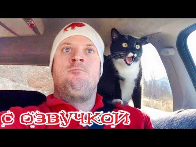 Funny Animal Videos 2024 - Funniest Dogs and Cats Videos #289