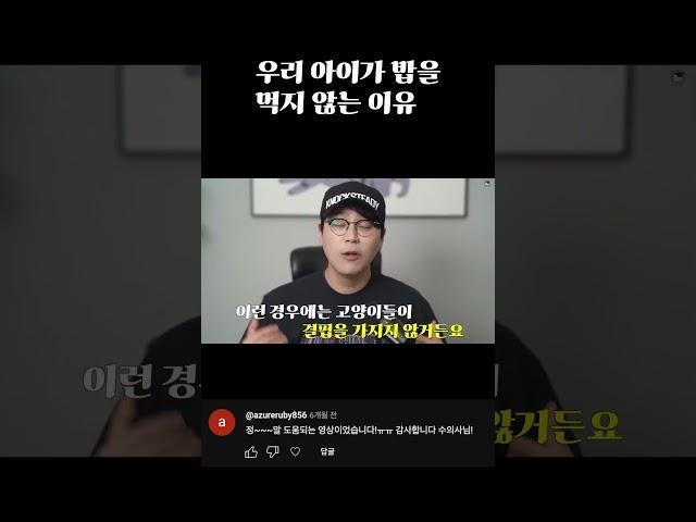 고양이가 사료를 잘 먹지 않는 이유