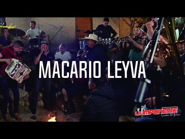 @LaImponente - Macario Leyva - (Musical En Vivo)