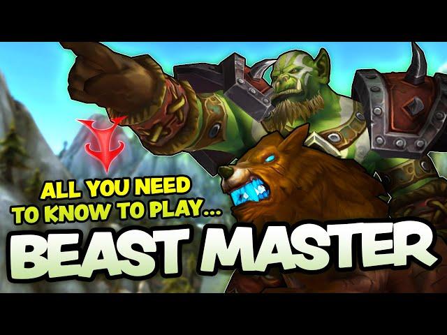 FULL GUIDE to BEAST MASTERY HUNTER in Season 4 of Dragonflight