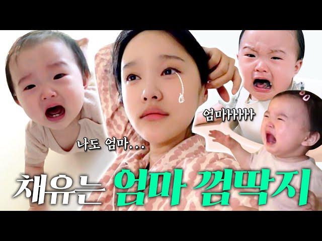 박채유는 엄마 밖에 모르는 바보