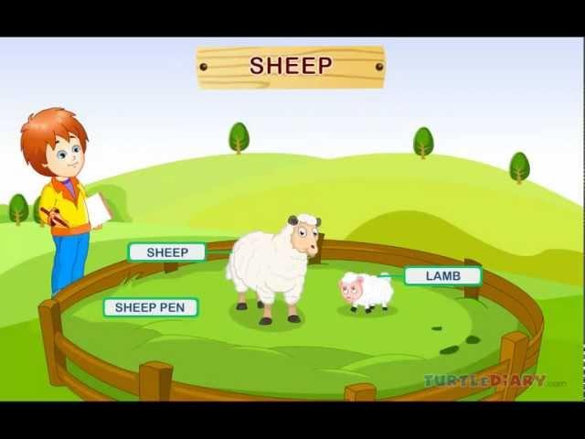 Amazing Farm Animals! *Animal Science for Kids*