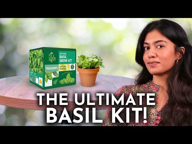 Grow Fresh Basil Effortlessly with THIS Kit!