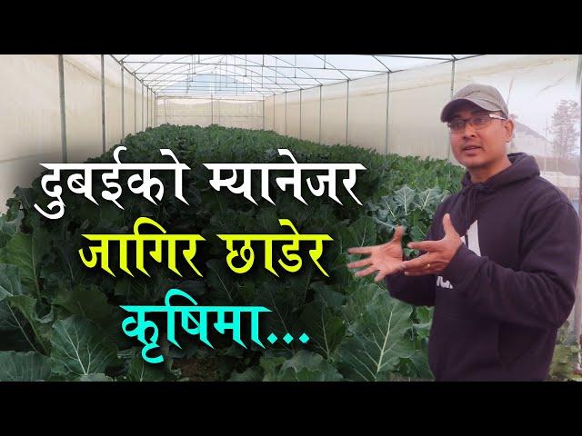 लाखौंको जागिर छाडेर कृषिमा भविष्य खोज्दै डिग्री होल्डर युवा | Sujan Shrestha