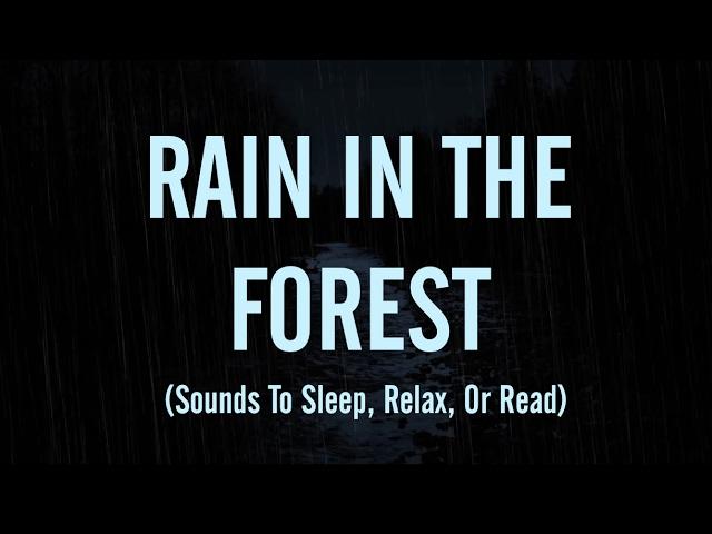 SOUNDS OF RAIN, OWLS &  HOWLING WINDS (Sleep, Relax, Or Read)