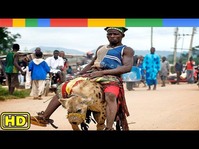 [Nat Geo Wild] The Mysterious Animal Gangs Of Nigeria  - Hyena Men - Animals Documentary Nature