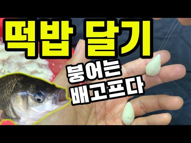 내림낚시 떡밥 달기. へら carp fishing