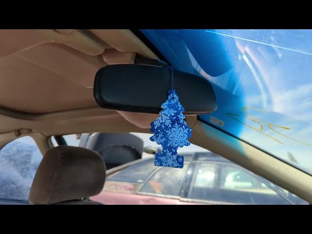 Let it Snow Little Tree Air Freshener in Colorado Junkyard