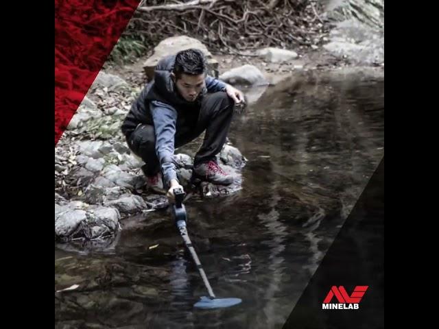 Minelab SDC 2300 Metal Detector Short - Waterproof ~ Serious Detecting