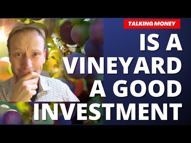 Is a Vineyard a good investment?  (Why I started one!!)