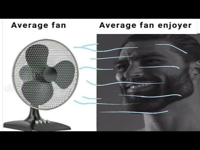 average fan vs average fan enjoyer