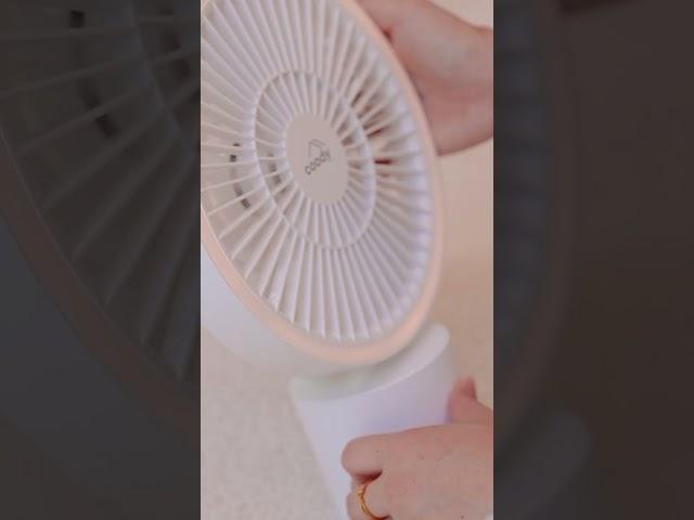 [숲속한끼]깊은 산속에 쿠디 집 짓기 #캠핑#쿠디 #쿠디에어텐트