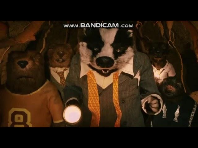 Fantastic Mr. Fox: you scared the cuss out of us