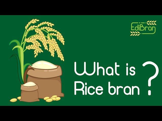 What is Rice bran?