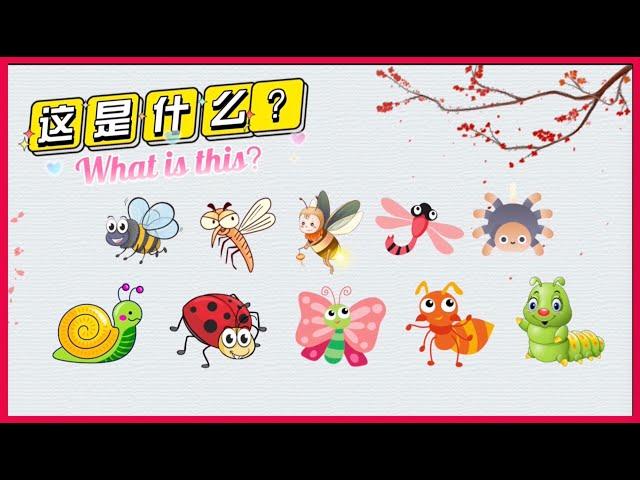 学中文---昆虫、蜘蛛和蜗牛| Learn bug in Chinese | 中文加油站GG