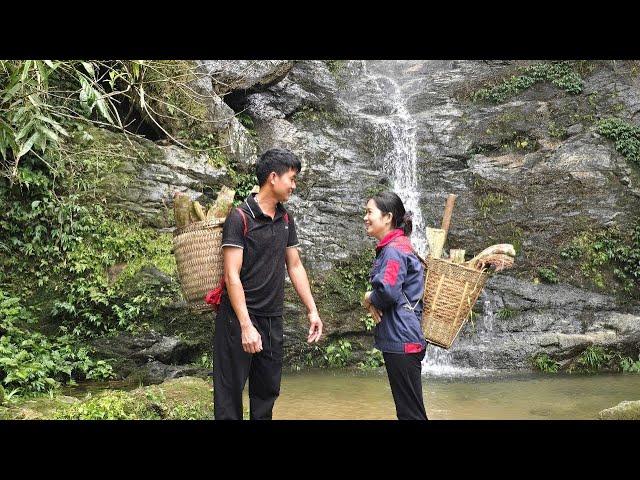 Harvesting Wild Herbs from the Mountain Top