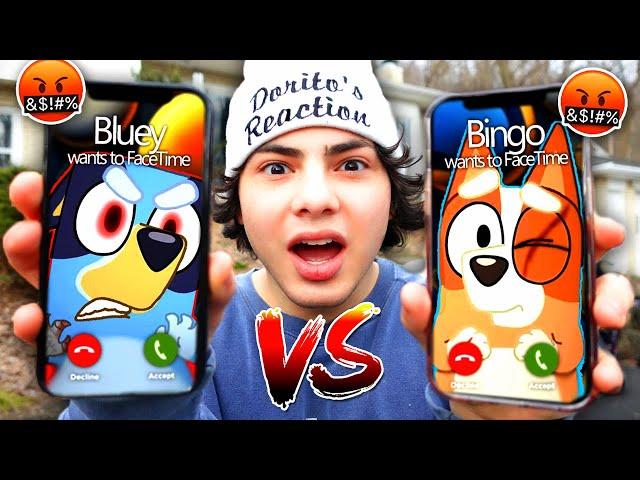 DO NOT FACETIME BLUEY & BINGO AT THE SAME TIME!! (HUGE FIGHT)