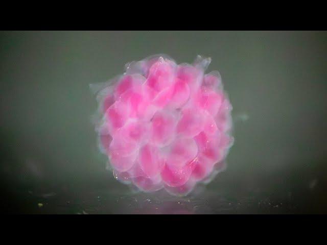 UVA Engineering – Digital Assembly of Spherical Particles