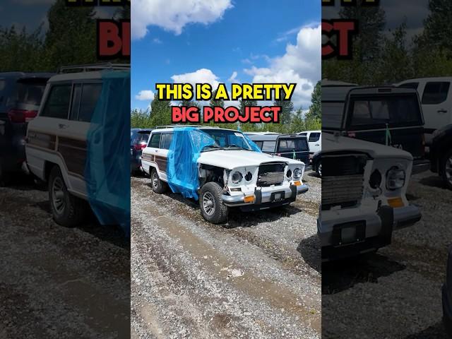 This Classic Jeep is a Goldmine 