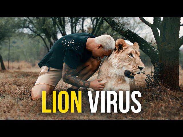 Lion Virus - Dean Schneider