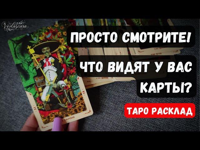 ️ПРОСТО СМОТРИТЕ! ЧТО ВИДЯТ У ВАС КАРТЫ??  Гадание на таро онлайн #гаданиеонлайн #тароонлайн