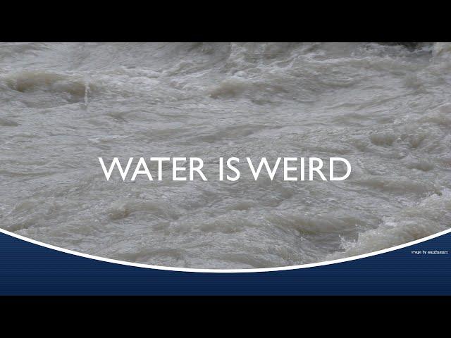 Marine Biology at Home 2: Water is Weird