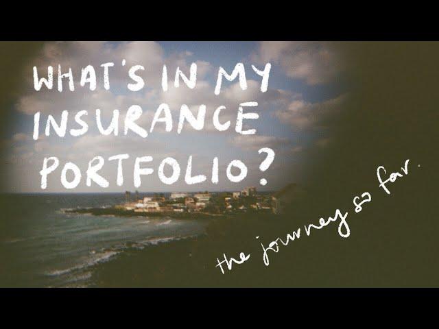 ️ my insurance portfolio + thoughts about the confusing world of insurance and my place in it