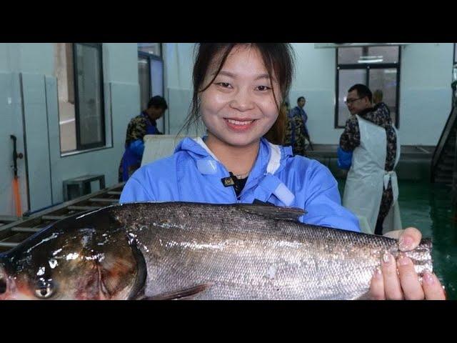 Hubei beauties have been selling fish for 15 years. They don't want fish bodies  fish tails and fis