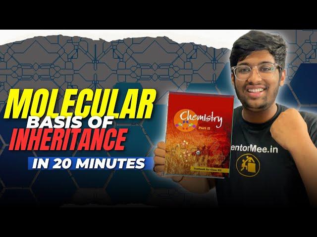 Molecular basis of inheritance: One shot | 24 marks Guaranteed | NEET