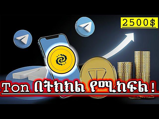  30 ቀን የቀረው!Free Ton Coin And New Crypto Airdrop In Telegram App #freeairdrops #toncoin #preton