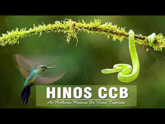 Hinos CCB 2020 - Hinos Maravilhosos De Deus - Ótima Música De Oração