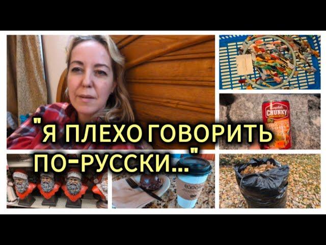 ВЛОГ: Глупость в людях / Магазин для любителей /  СиРОжа / Атмосфера нашего района