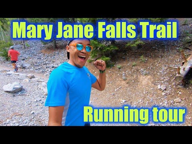 Seeing Mary Jane Falls for first time!! - Running Vlog - The Delsol Runner