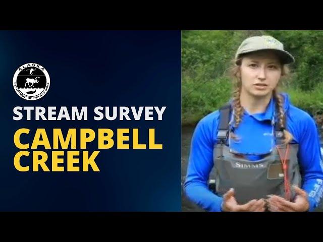 Campbell Creek Stream Survey in Beautiful Anchorage