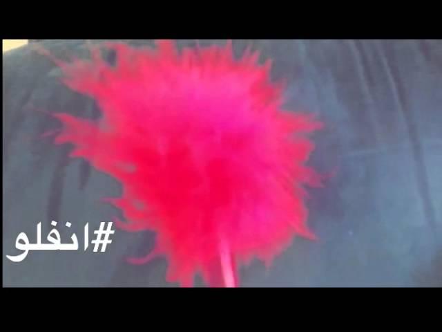 العوده إلى قريه التوت