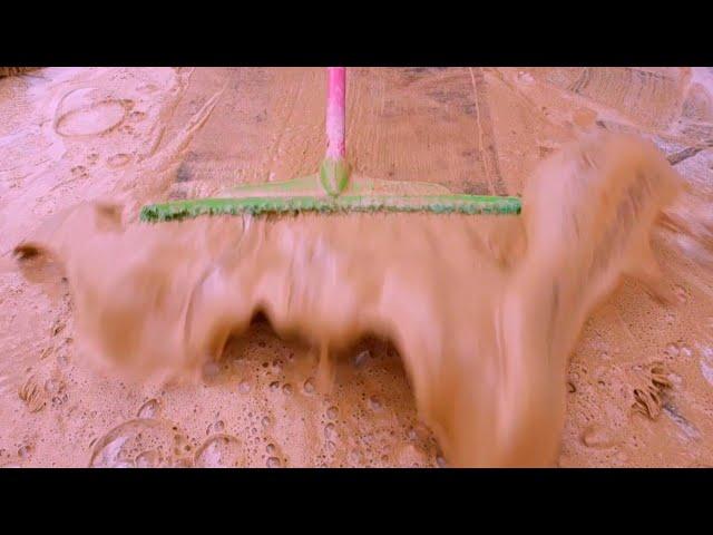 The most satisfying dirty carpet washing, ASMR