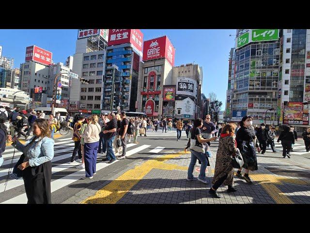 Tour around Shinguku Japan