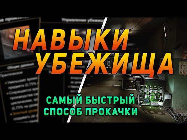 КАЧАЙ УБЕЖИЩЕ ПРАВИЛЬНО ● ГАЙД ПО НАВЫКАМ ESCAPE FROM TARKOV ● #тарков #eft #tarkov