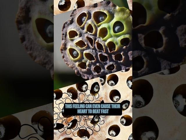 Goosebumps, disgust Seeing this? Maybe You Have Trypophobia#shorts #worldfacts