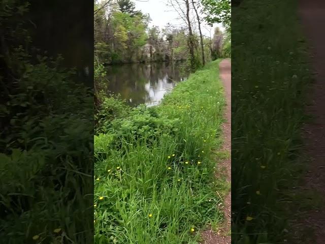 #Shorts along the Canal in spring #hiking #photography #landscape #towpath #park #spring #canal