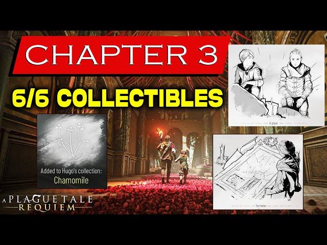 A Plague Tale Requiem All Chapter 3 Collectible Locations | Chamomile | A Grave | Our Home | Tools