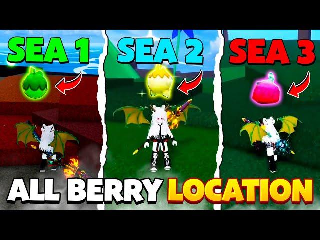 ALL BERRY SPAWN LOCATIONS IN BLOX FRUITS Sea 1/2/3