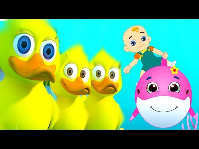 Five little ducks + Baby Shark Do Do Do @DelTvKids  #nurseryrhymes