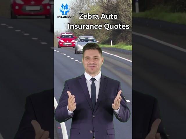 Zebra Auto Insurance Quotes