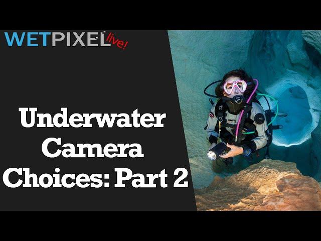 Underwater Camera Choices for Photographers: Part Two