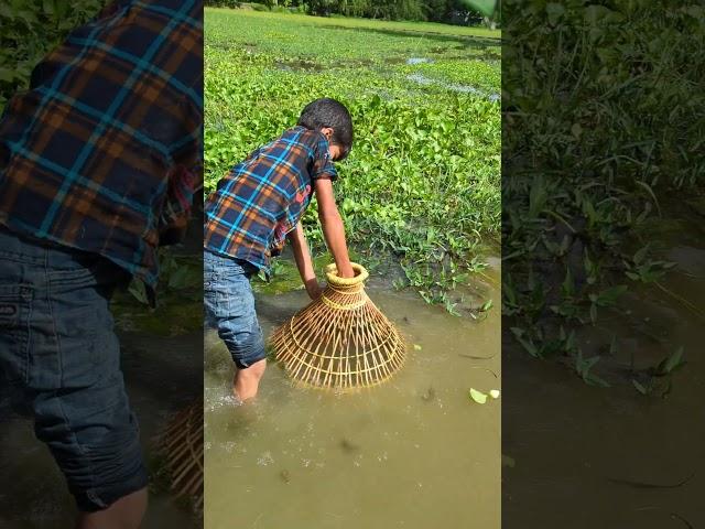 Village Traditional Bamboo Tools Polo Fishing Video #shots #viral #fishing #highlights