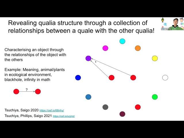 Naotsugu Tsuchiya Qualia Structure Grant Meeting