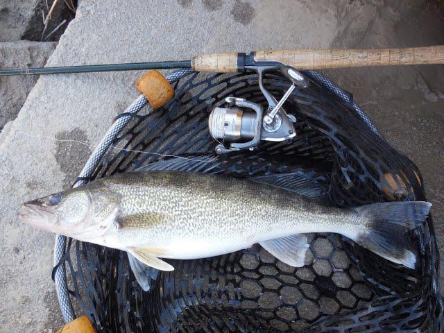 Top 10 Lakes for Walleye Fishing in Nebraska