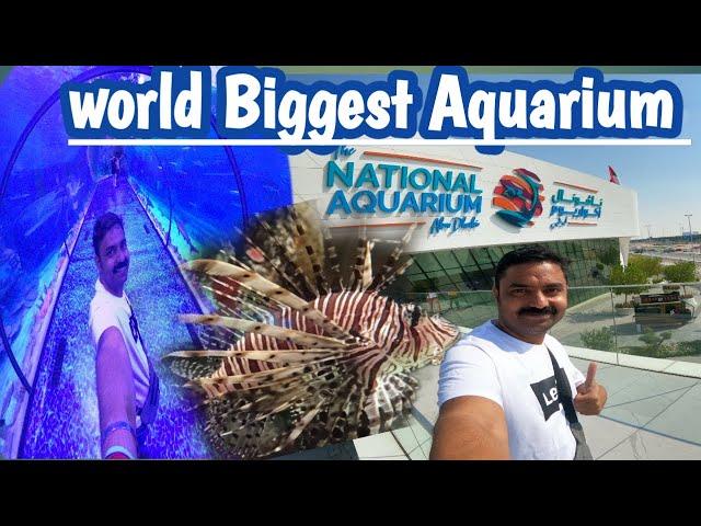 World Biggest Aquarium | Abu Dhabi UAE | National Aquarium Abudhbi full tour | Tulu Vlog